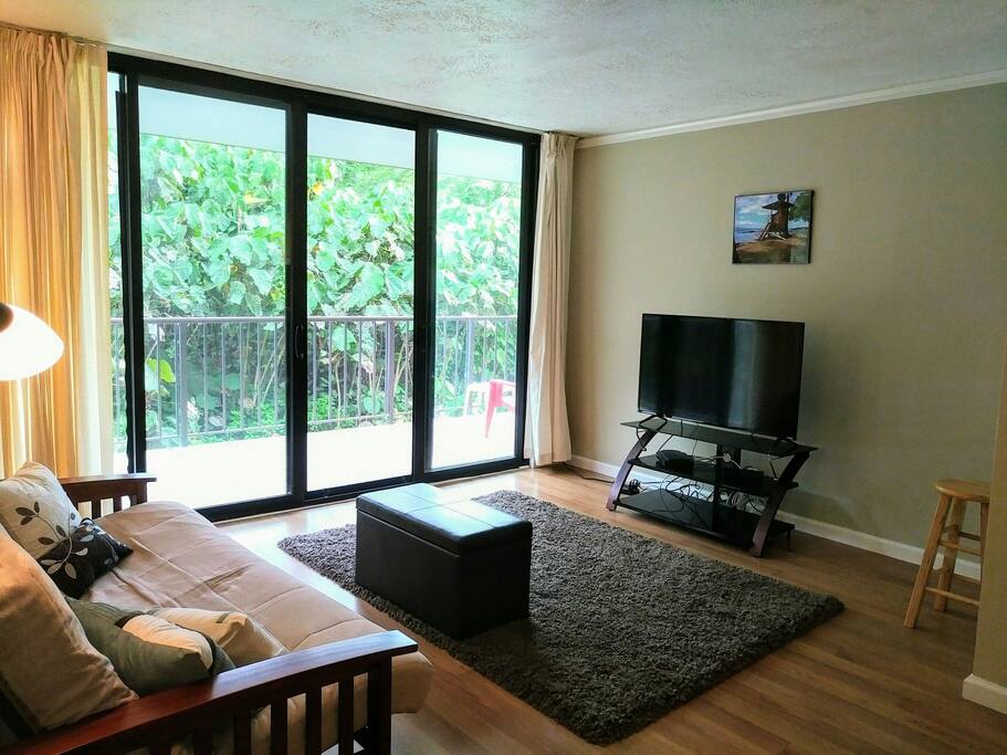 Living room with full size futon and WiFi TV