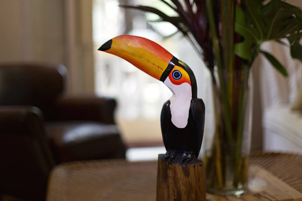 Toucans and bird of paradise