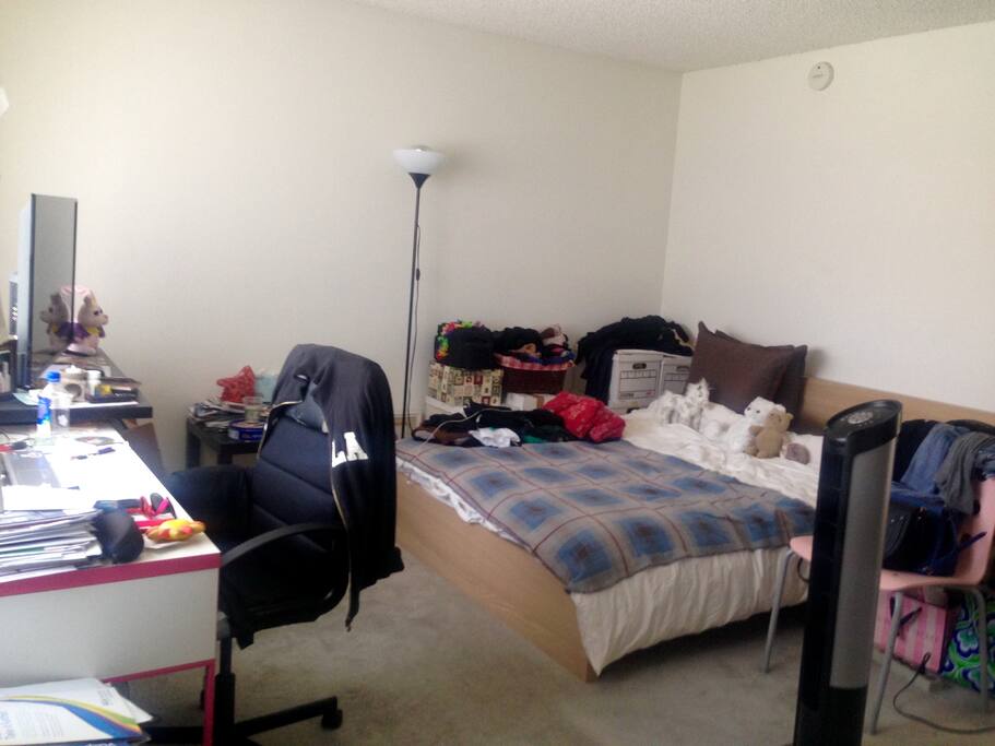 Living room and Bedroom. I'm still living here. The space is much bigger than the picture shows. I will put my things in boxes or closet when I leave for my vacation.
