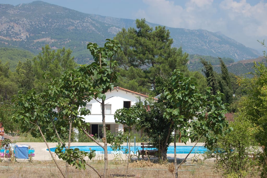 Mount Olympos in the background.