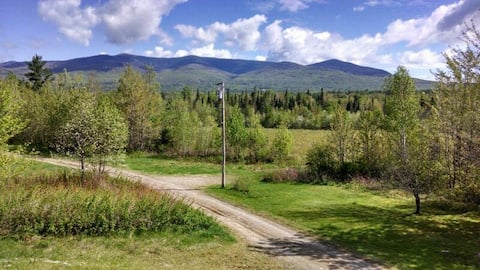 Remote & rustic, yet accessible cabin in the woods
