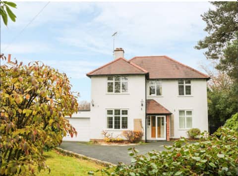 Thistledown- Church Stretton