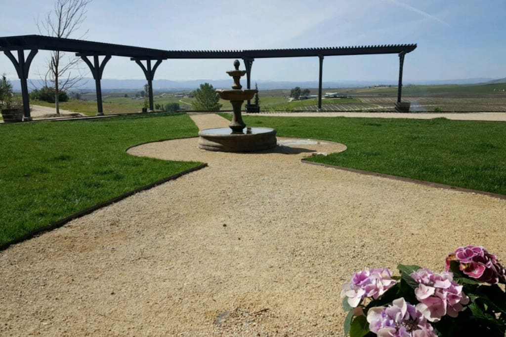 Stunning pergola with growing vines. Great for lunch, lounging, or tying the knot!