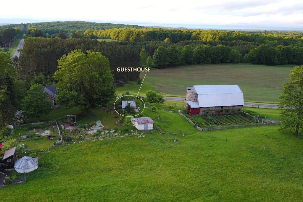 The homestead