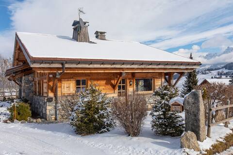 Stunning Chalet facing Mont-Blanc
