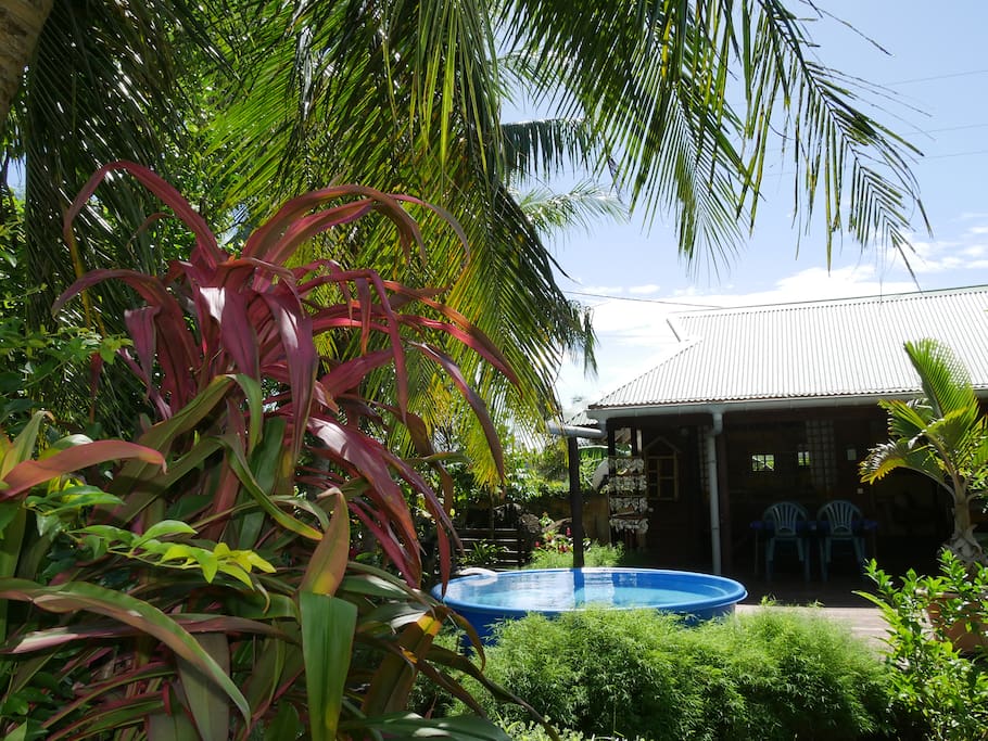Beautiful tropical gardens