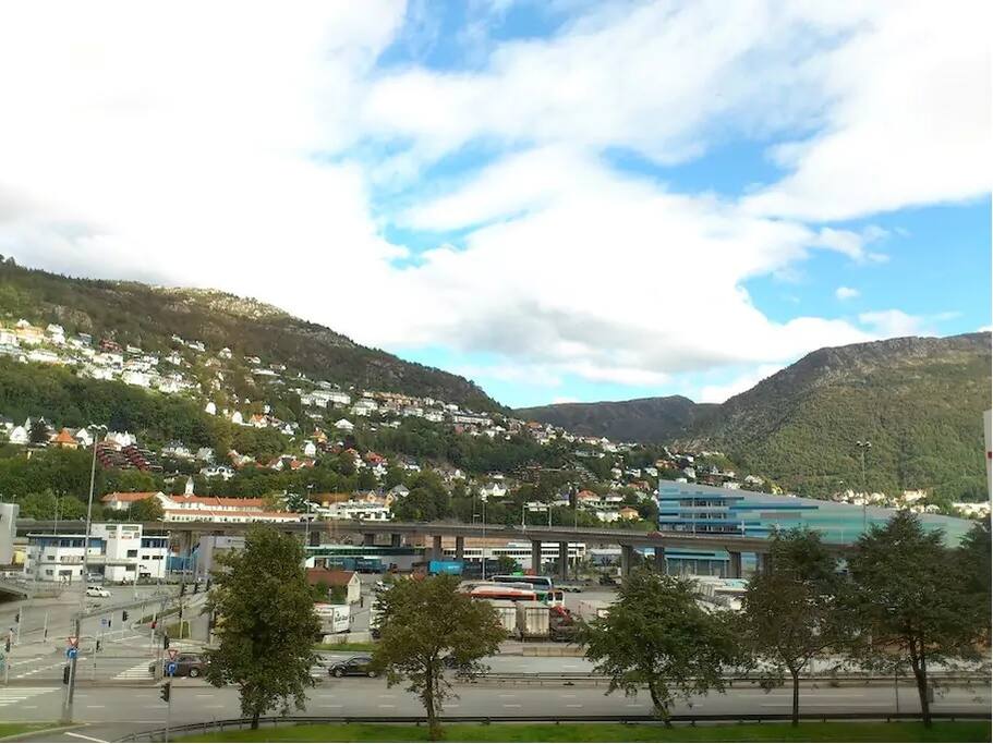 View from Living Room