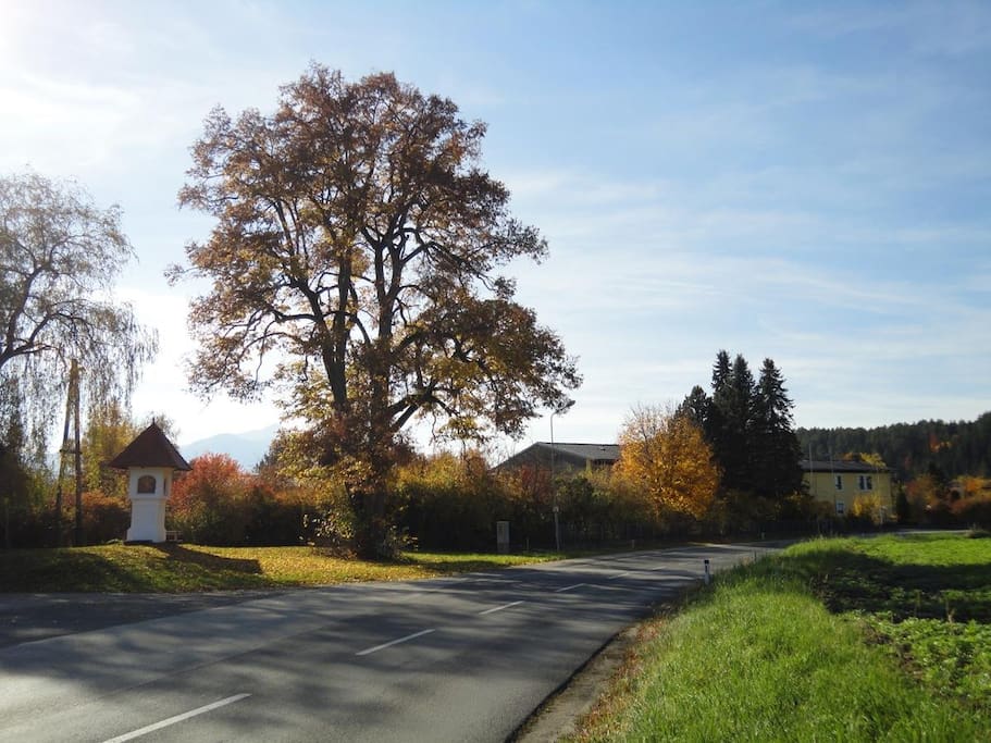 Campus AdFontes im Herbst.