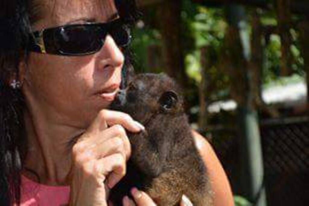 Kiss the monkeys!