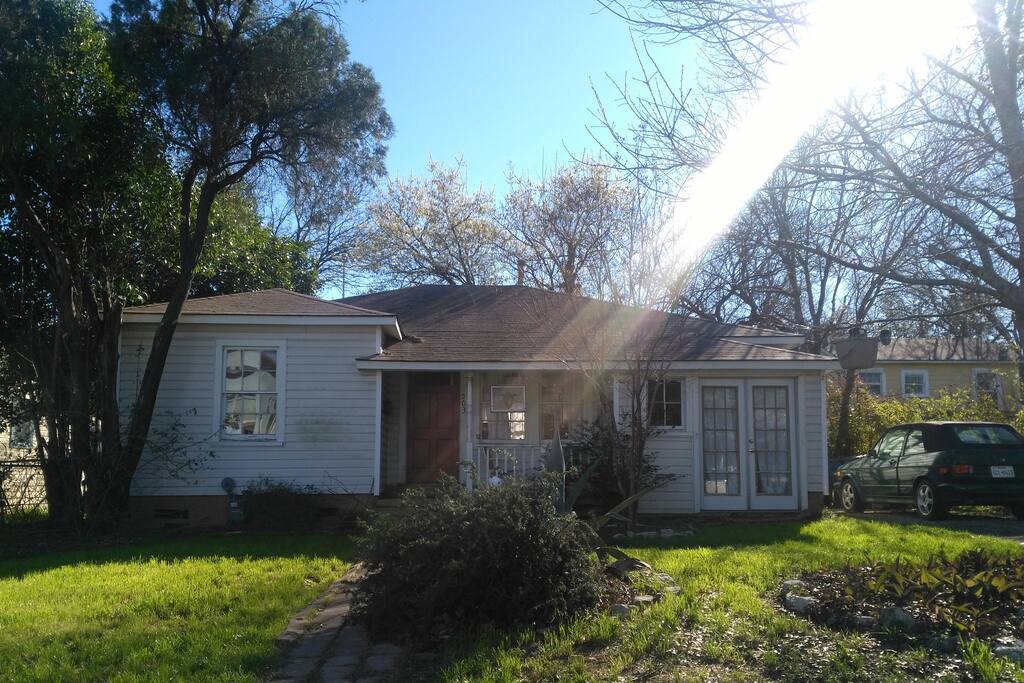 Front garden