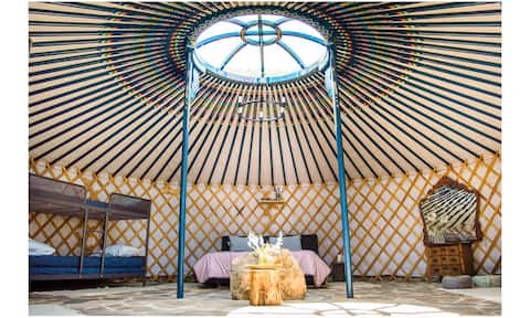 Traditional yurt in the middle of nature!