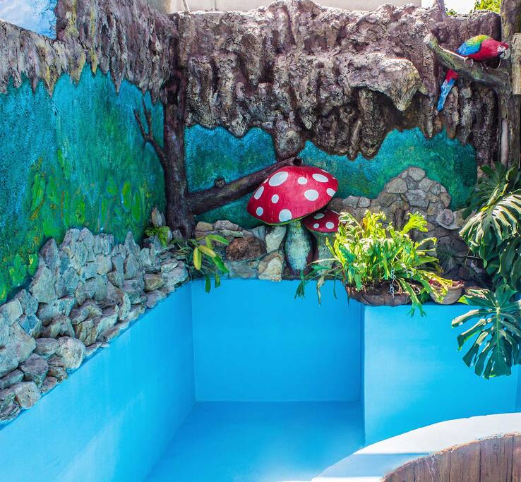 Adornos de la piscina