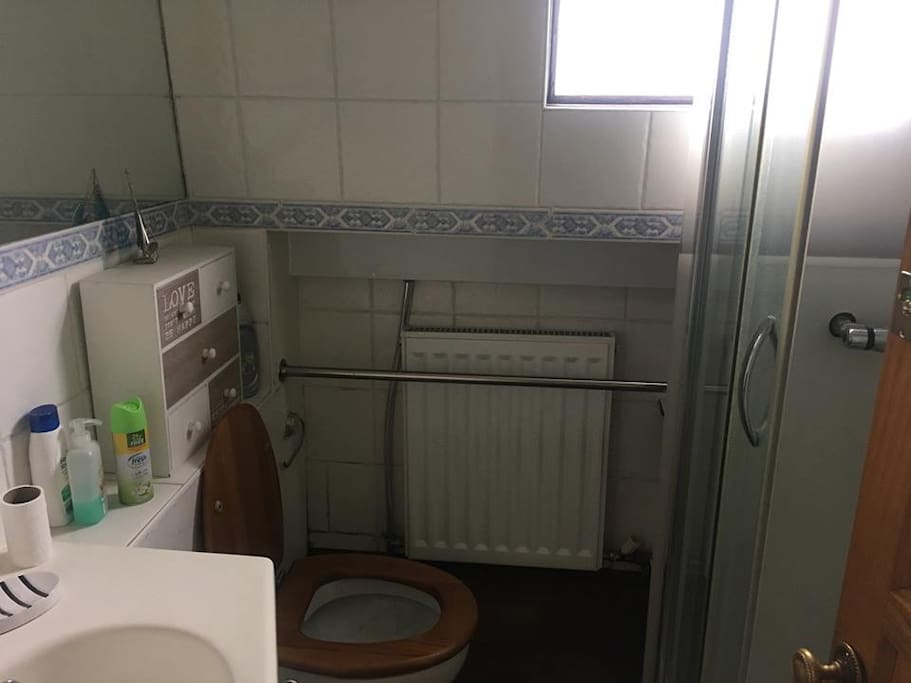 fully functioning shower and toilet facilities