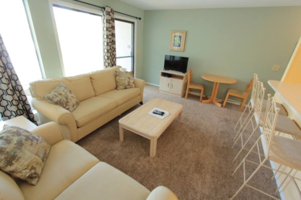 Living Room with Sleeper Sofa, Flat Screen TV and New Floors