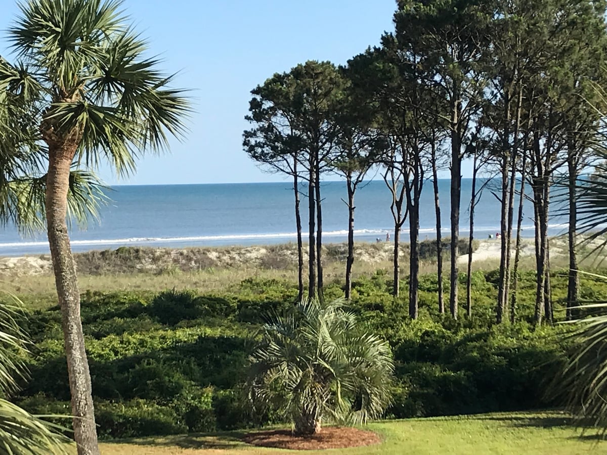 A serene view of the ocean is framed by tall trees and lush greenery. The beach stretches into the distance, with gentle waves meeting the shoreline under a clear blue sky.