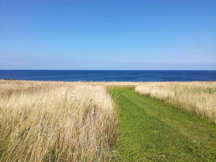 Vores naturgrund går ned til vandet (Kattegat)