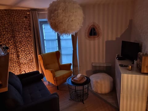 Small cocoon in the historic district of Chaumont