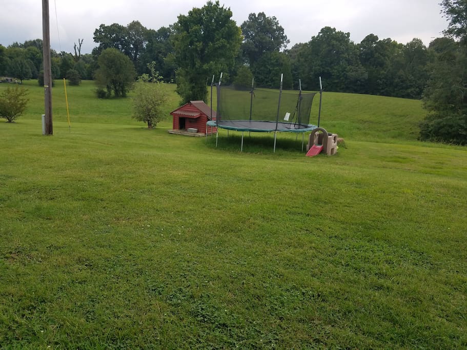 Trampoline Jumping-FREE!