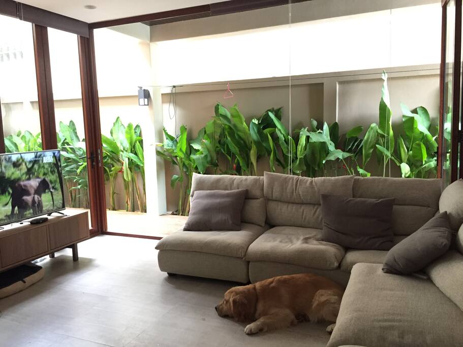 Living room with open folding windows