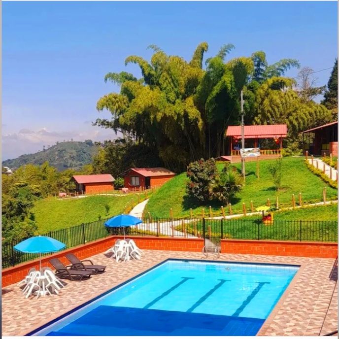 A serene outdoor area features a swimming pool surrounded by lounge chairs and umbrellas. Lush greenery can be seen in the background, with several cabins situated on a hillside, offering a tranquil setting for relaxation and enjoyment.
