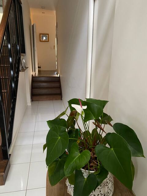 Entire downstairs guest suite