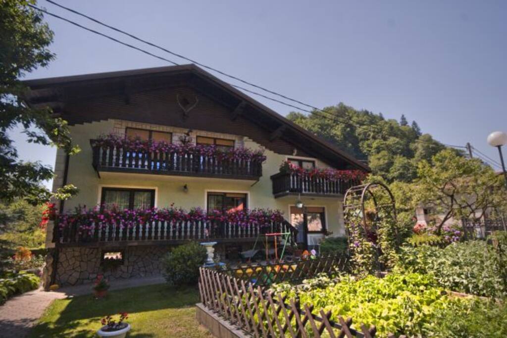 The house