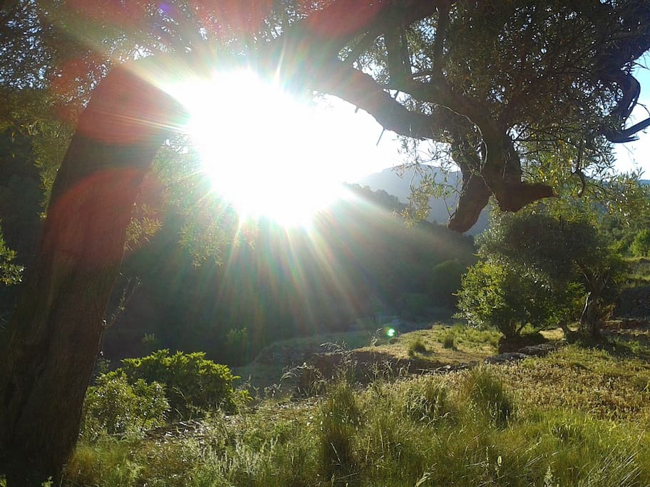 Walking in the valley