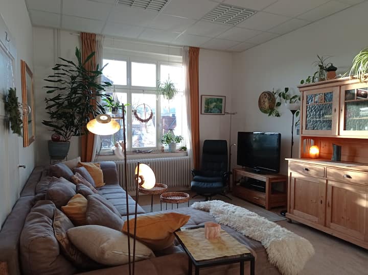 beautiful central old building in the south district Apartments for