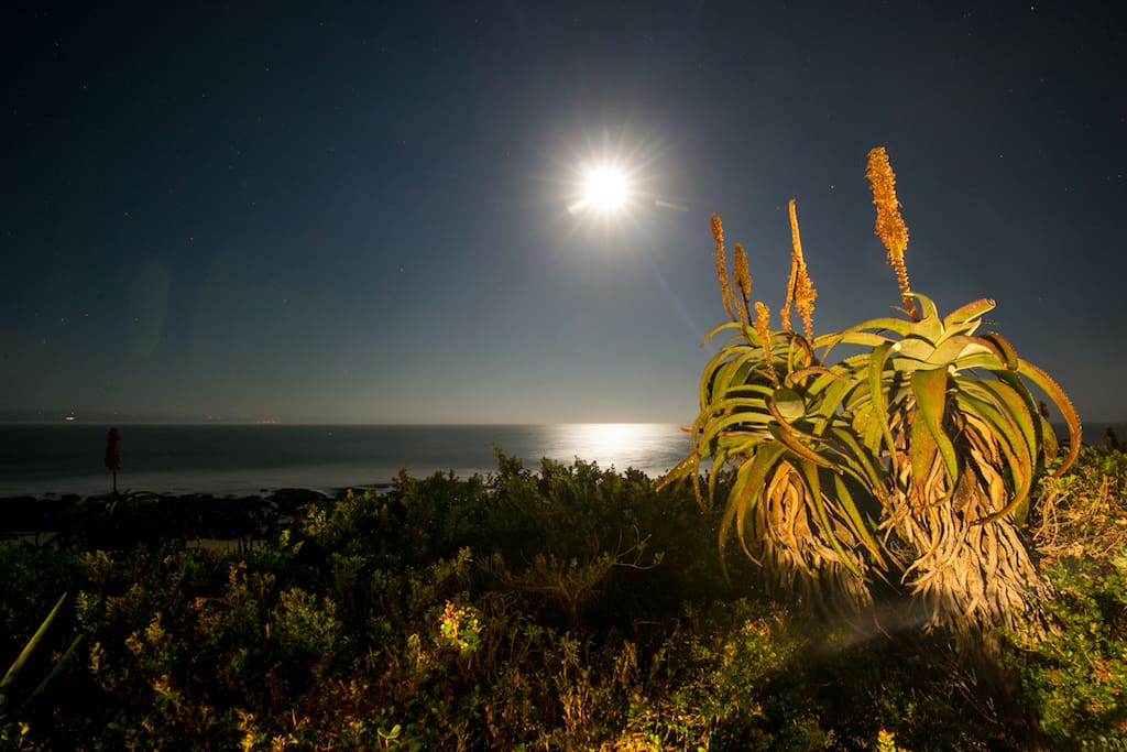 The moonrise