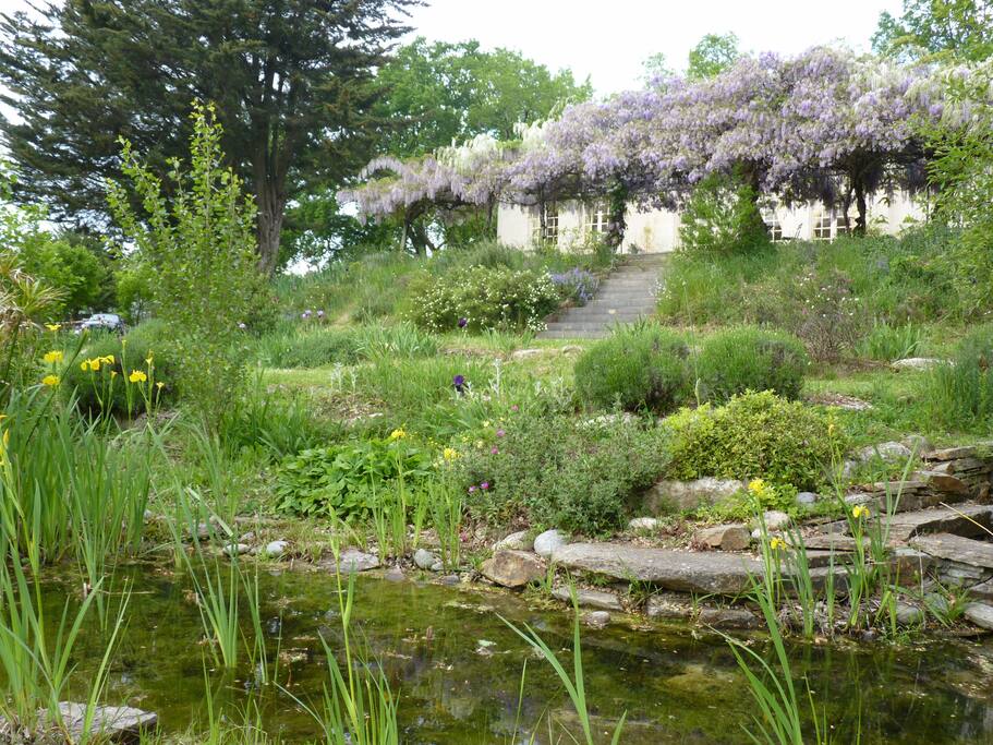 Une autre vue du jardin