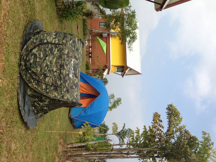 Tent area