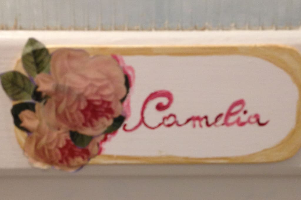 Camera Camelia