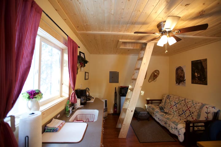 Get the True Alaskan Experience