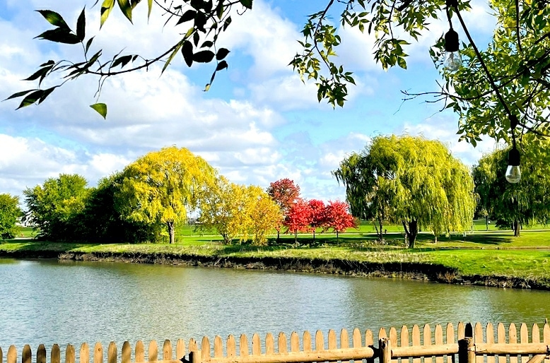 A serene lake view is captured with gentle ripples reflecting the sky. Lush green trees line the opposite bank, featuring vibrant autumn colors in red, yellow, and green. The wooden fence in the foreground enhances the tranquil lakeside ambience.