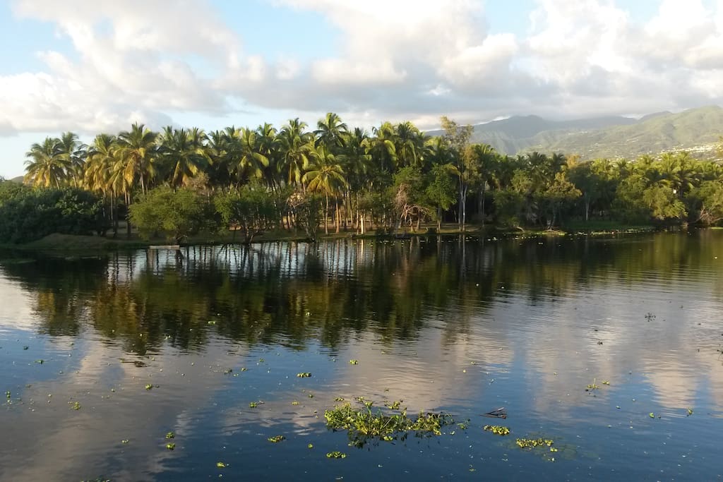Parc de La Cocoteraie