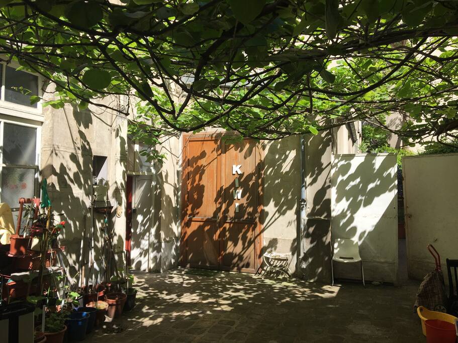 La porte d’entrée dans la cour avec l’arbre à kiwi en tonnelle sous le soleil