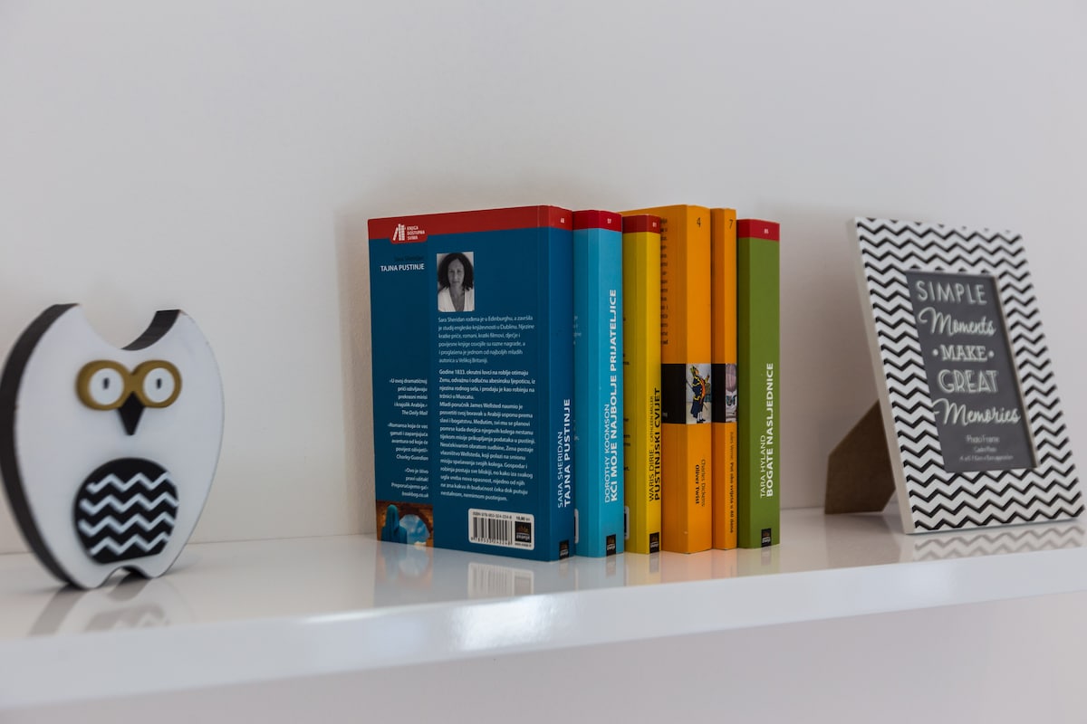 A minimalist shelf displays a curated selection of books in vibrant colors, arranged neatly. A decorative owl figurine adds a whimsical touch, while a framed print with a zigzag pattern offers an inspiring message. The shelf rests against a clean, white wall.