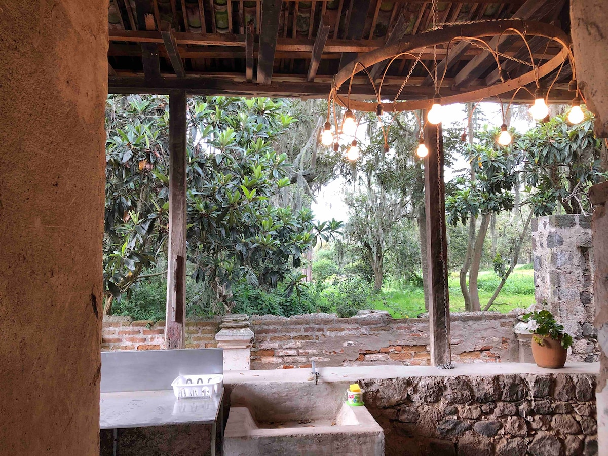 A rustic kitchen space is presented with a stone sink and a small dish drying rack. Natural light filters through a wooden structure, illuminating the greenery visible outside. A unique light fixture hangs overhead, enhancing the simple yet charming atmosphere.