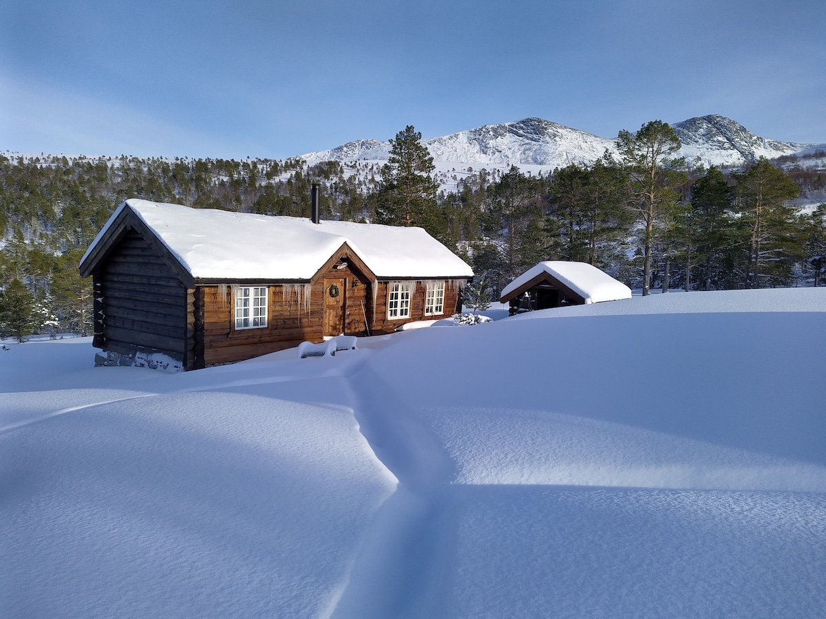 A traditional wooden cabin is set against a backdrop of snow-covered mountains and a clear blue sky. The cabin's inviting entryway is framed by a layer of fresh snow, with footprints leading towards it. Surrounding pine trees provide a serene, natural environment.