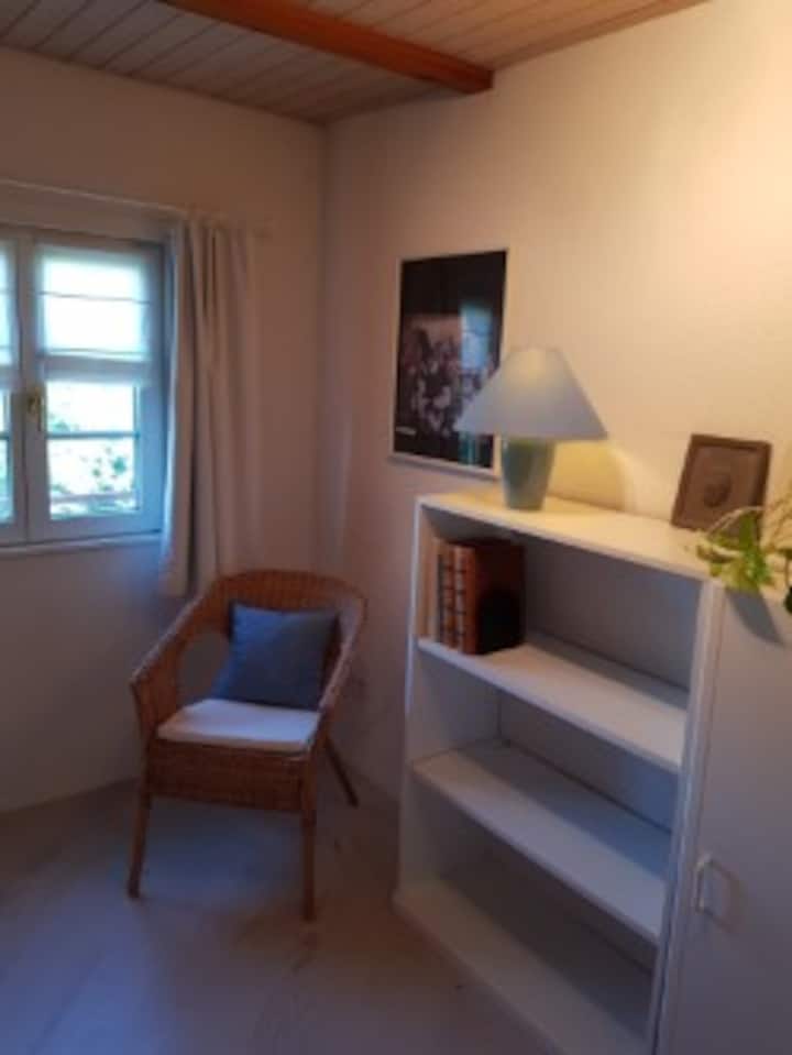 Chumba cha kulala kilicho na rafu ya vitabu na kabati ya nguo