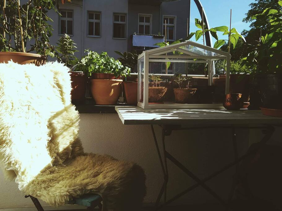 Your room with the balcony.