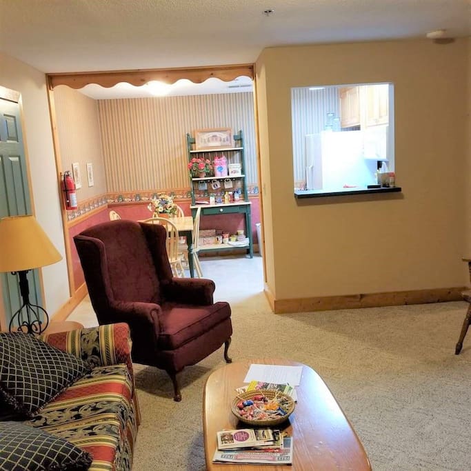 Apt - E Living Room and Kitchen View.