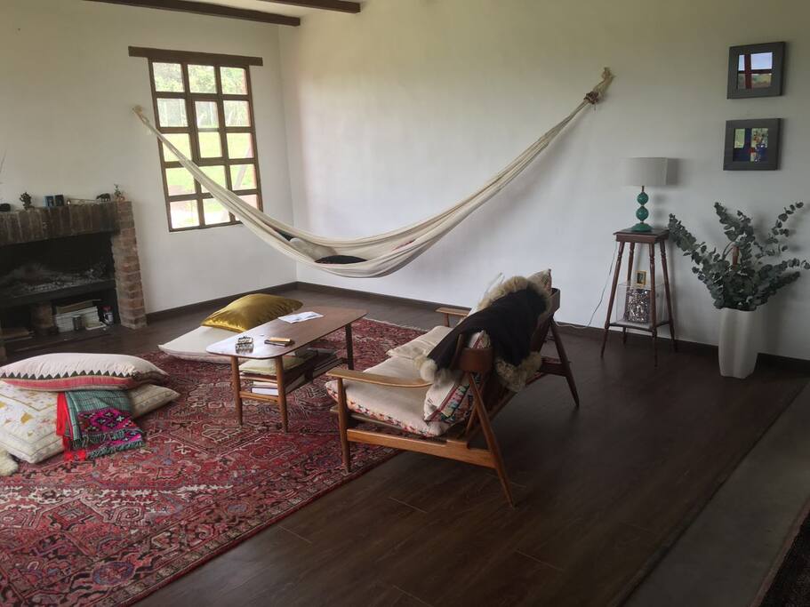 Hammock and chimney in the living room.