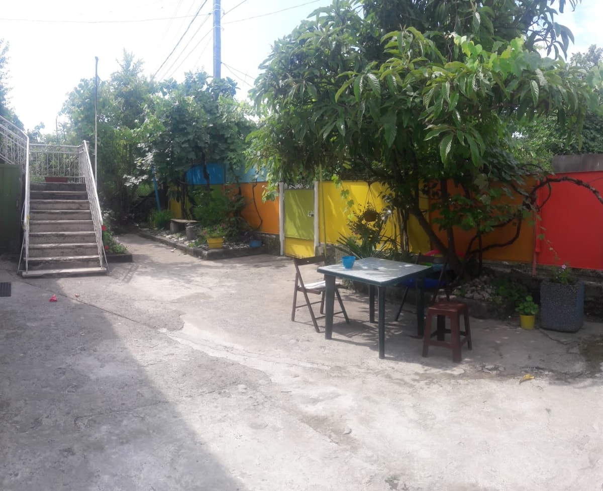 A spacious outdoor area features a dining table surrounded by greenery and colorful walls. A staircase leads to the upper level, while potted plants add a touch of vibrancy to the landscape. The concrete floor provides ample space for relaxation.