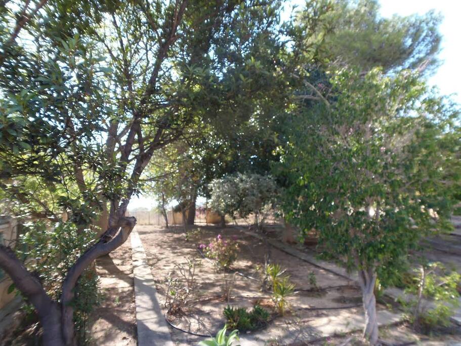 Vista frente a la casa. Se pueden trasladar las hamacas a la sombra de los árboles.