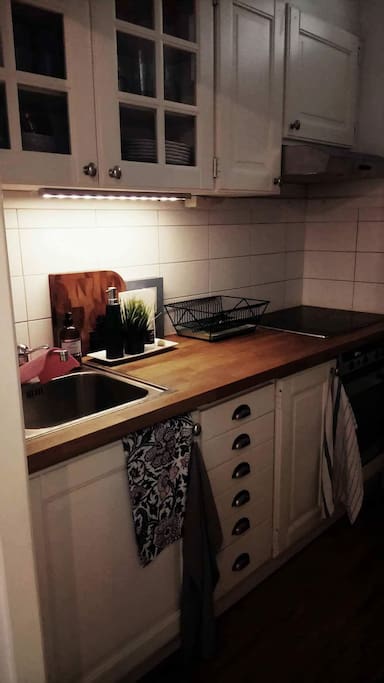 Small but practical kitchen, has everything you need