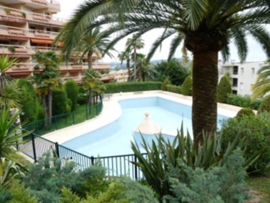 la piscine ensoleillée