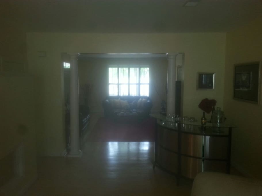 Living room bar area.