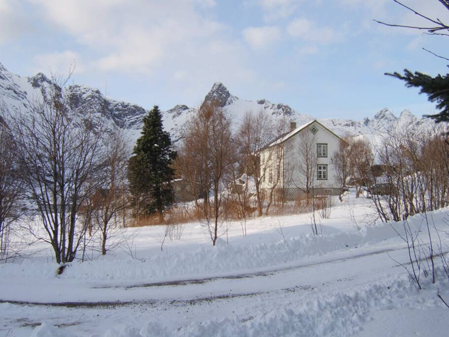 Vinter