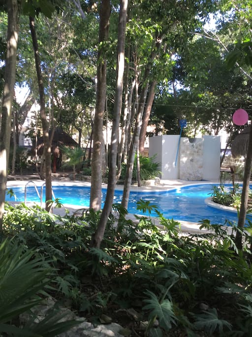 Swimming pool